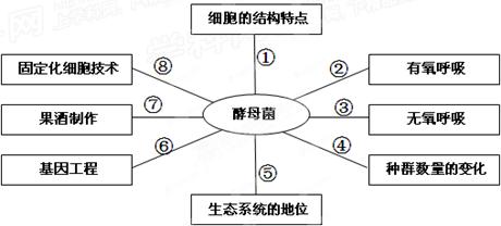 生物能源有什么